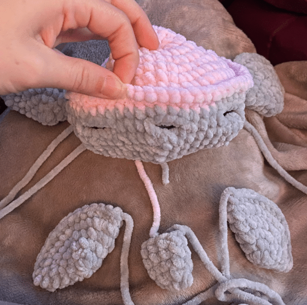 crochet turtle' shell in progress