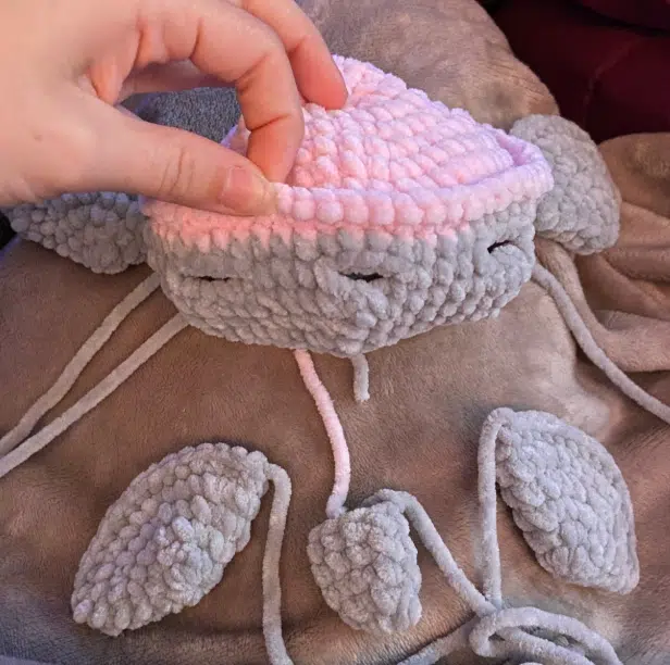 crochet turtle' shell in progress